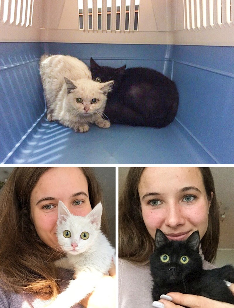 "Dva tjedna mi je trebalo da mi dozvole da ih držim, a onda još mjesec i pol da se opuste i postanu umiljate. Evo kako izgleda rezultat!"