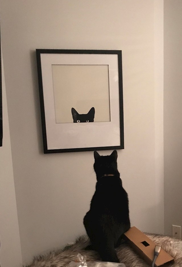 "Naša mačka je bila zbunjena kad je vidjela ovo umjetničko djelo. Ne, ovo što vidite nije ogledalo."