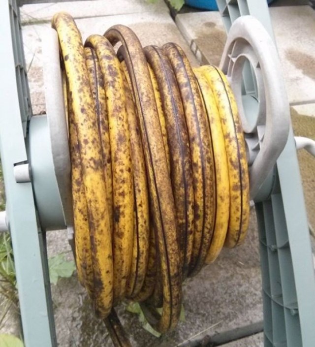 Kakve su ovo banane?