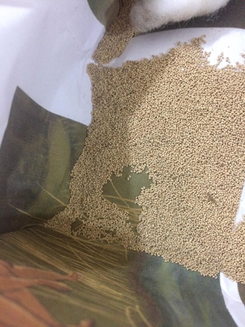 Ova osoba često pronalazi "čudne žitarice" u svom ormaru. Zapravo je riječ o kakici termita. :)