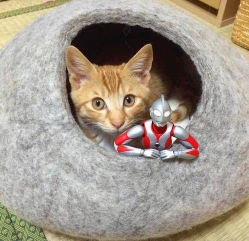 "Super ti je ovaj novi krevet."