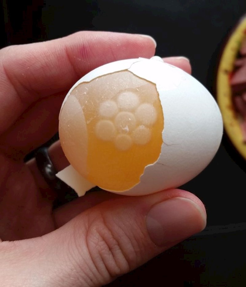 "Kad sam razbio jaje, unutarnji omotač je ostao čitav, a unutra sam vidio nešto što izgleda kao cvjetić."