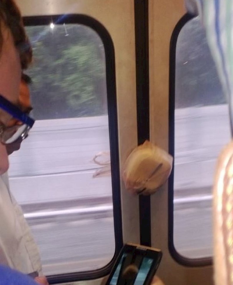 Netko je u posljednji tren izašao iz tramvaja. Njegov ručak je ostao unutra.