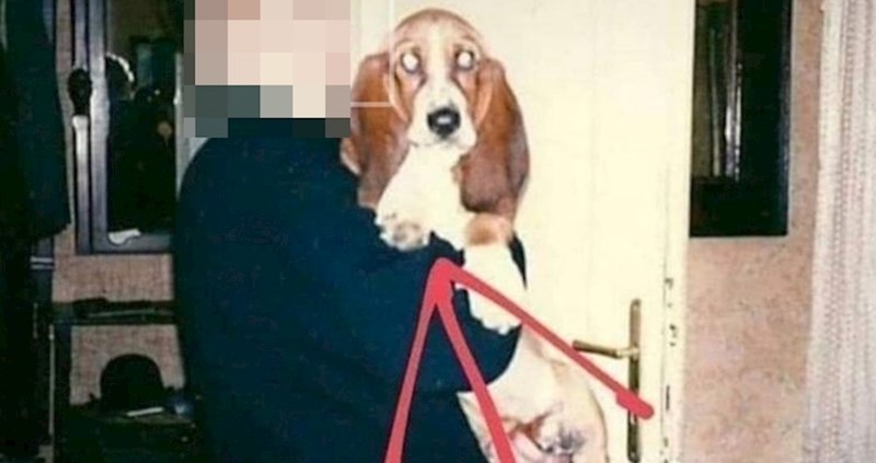 Mislila je da je smiješna, no ljude je zgrozio opis fotke na kojoj se slikala sa svojim psom