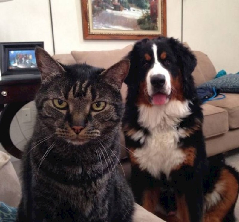 Ono kad se na silu moraš družiti s gostima...