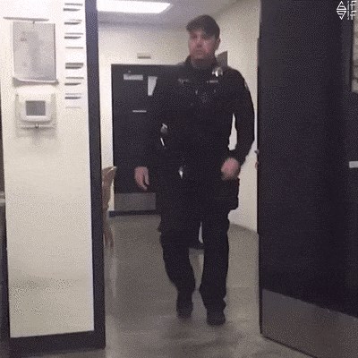 Netko je provjeravao hrabrost kolege policajca, pogledajte čega se uplašio