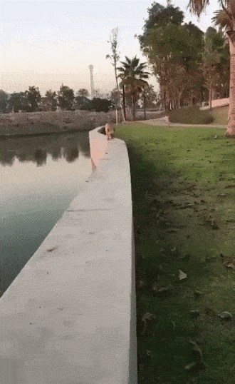 Ono kad ugledaš zgodnu žensku pa ne paziš gdje i kako hodaš