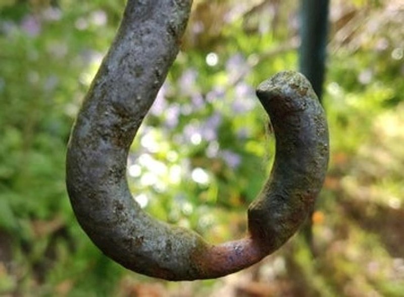 "Ova kuka je držala ljuljačku u bakinom dvorištu više od 40 godina."