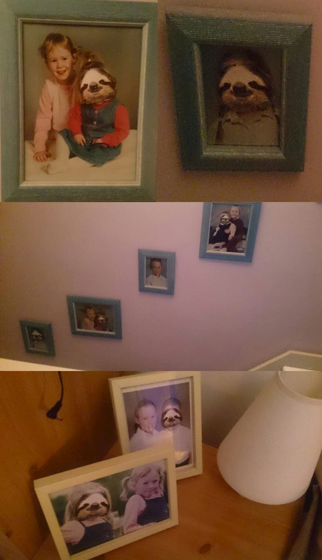 "Sve slike svoje sestre zamijenio sam slikama ljenjivca."