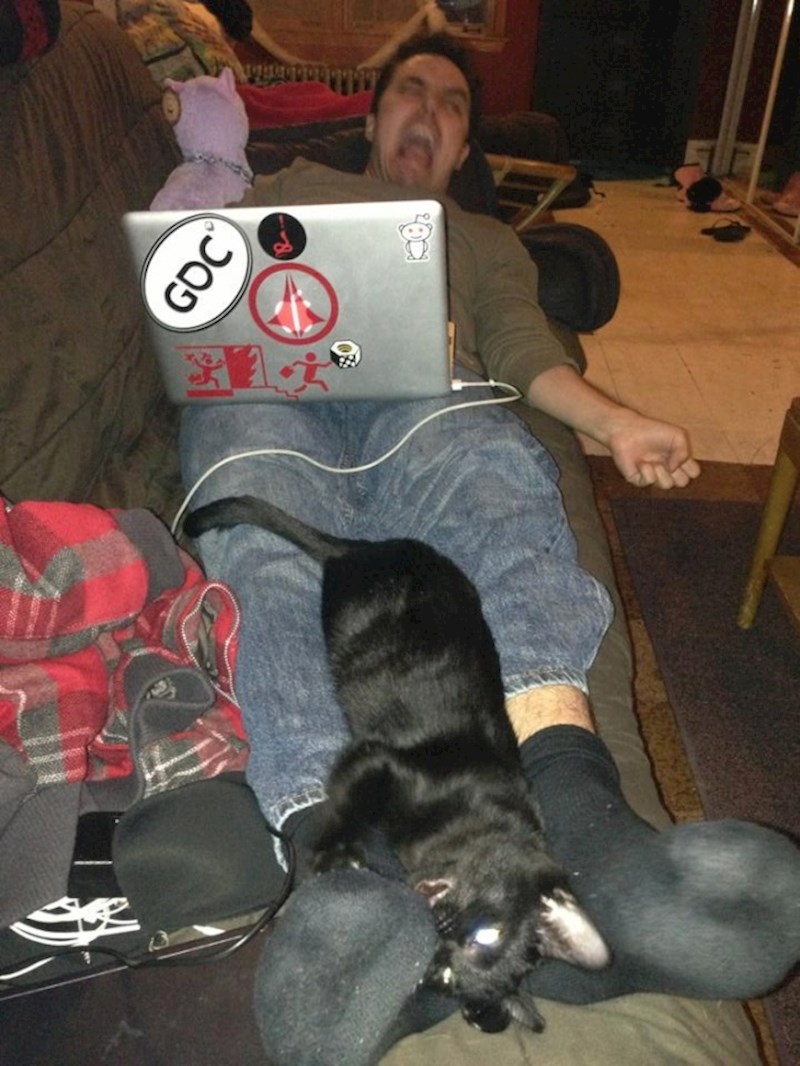 "Ovo je samo bio pokušaj slikanja slatke fotke na kojoj se moj dečko druži s našom mačkom."