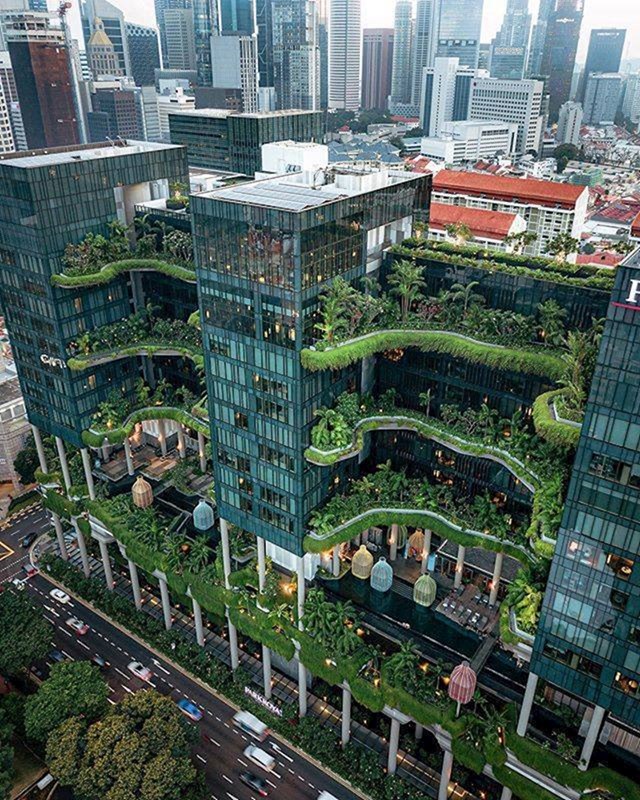 Zgrade pune zelenila uljepšale bi svaki grad, a i zrak bi bio čišći.