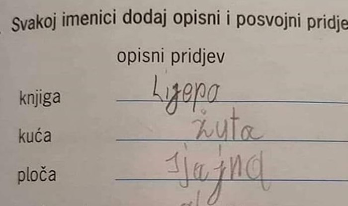 Dijete je svaku imenicu morala opisati pridjevom, jedan odgovor je učiteljicu iznenadio