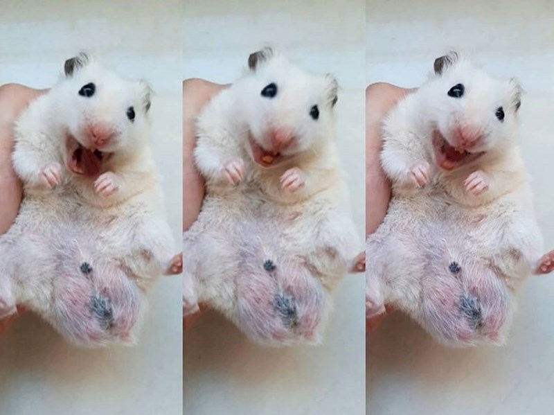 Nitko joj ne može reći da nije fotogenična.