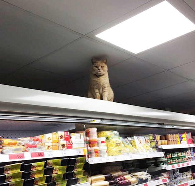 U supermarketu su primijetili da ih netko špijunira.