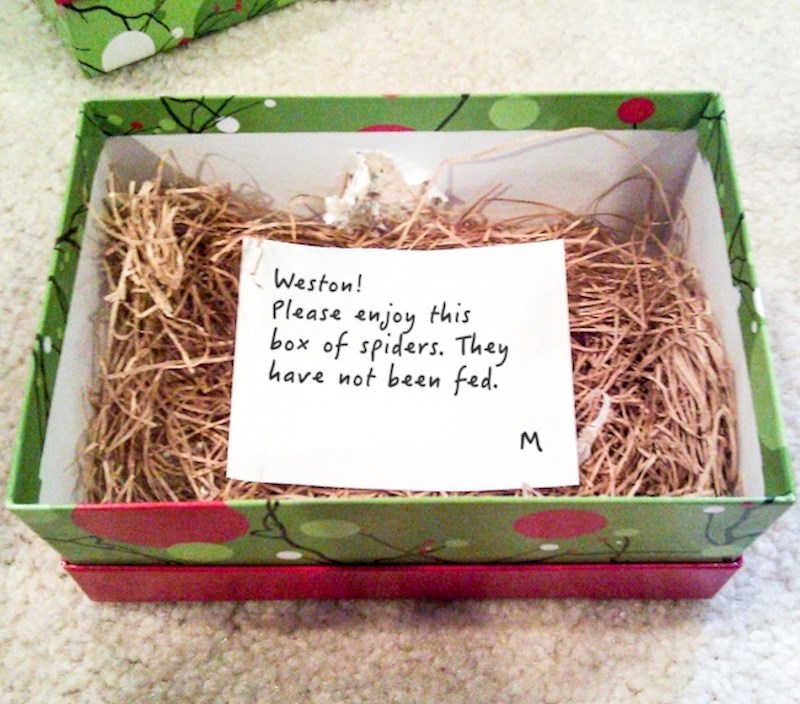 "Westone, uživaj u ovoj kutiji pauka. Nisu nahranjeni."