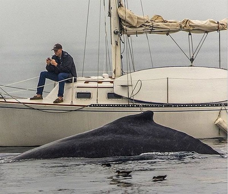 Mobitel mu je bio zanimljiviji. :(