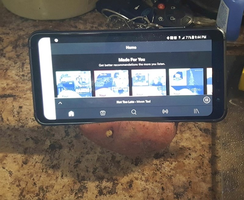 "Moj muž je od krumpira napravio držač za mobitel."