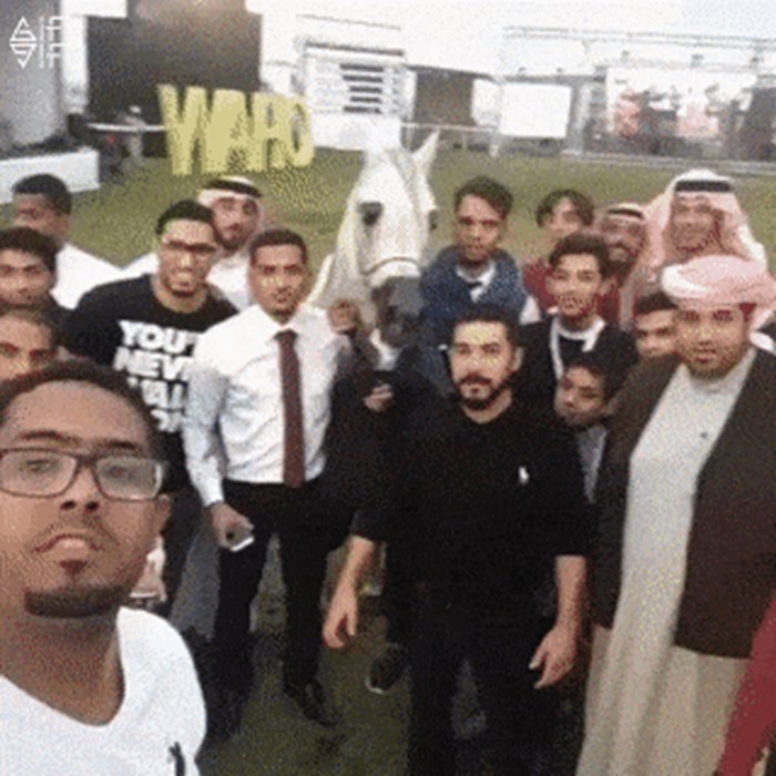 Arapi su pokušali snimiti selfie s konjem, no zaboravili su jednu bitnu stvar
