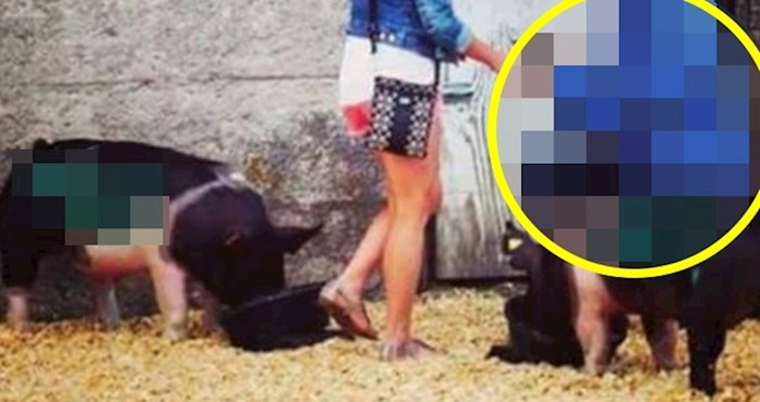 Žena je zaplakala kad je vidjela zbog čega ju je dečko odveo u svinjac