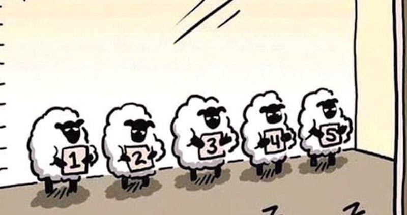 Ovo će vam otkriti kako se ovce svaki put izvuku nakon što nekoga ubiju