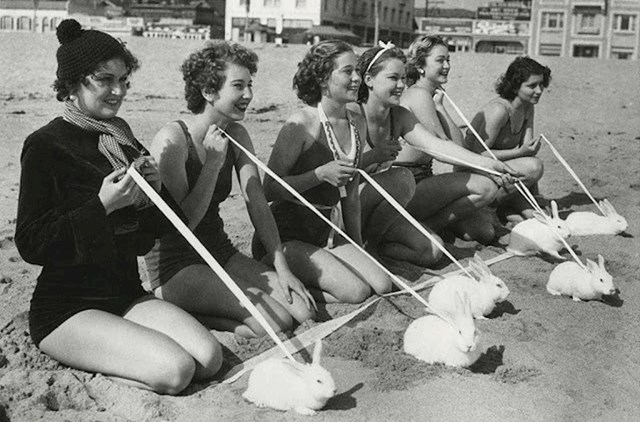 Zečevi na kalifornijskoj plaži, 1935.