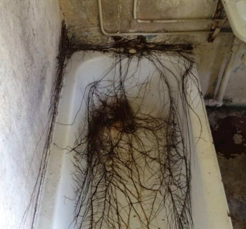 Život uvijek pronađe zanimljiv put...