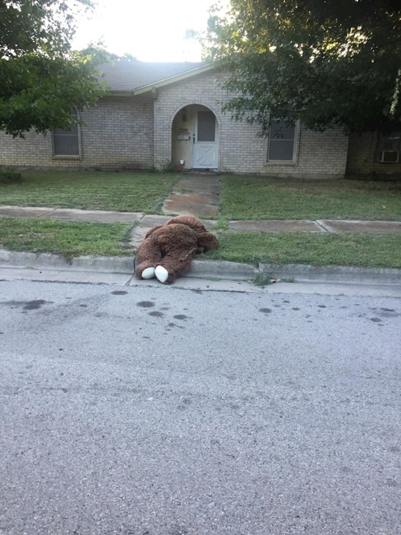 "Moj susjed je izbacio medu iz kuće."
