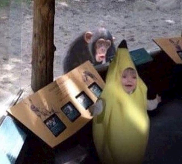 "Htjela se u ZOO-u slikati u kostimu banane, i to tamo gdje budu majmuni."