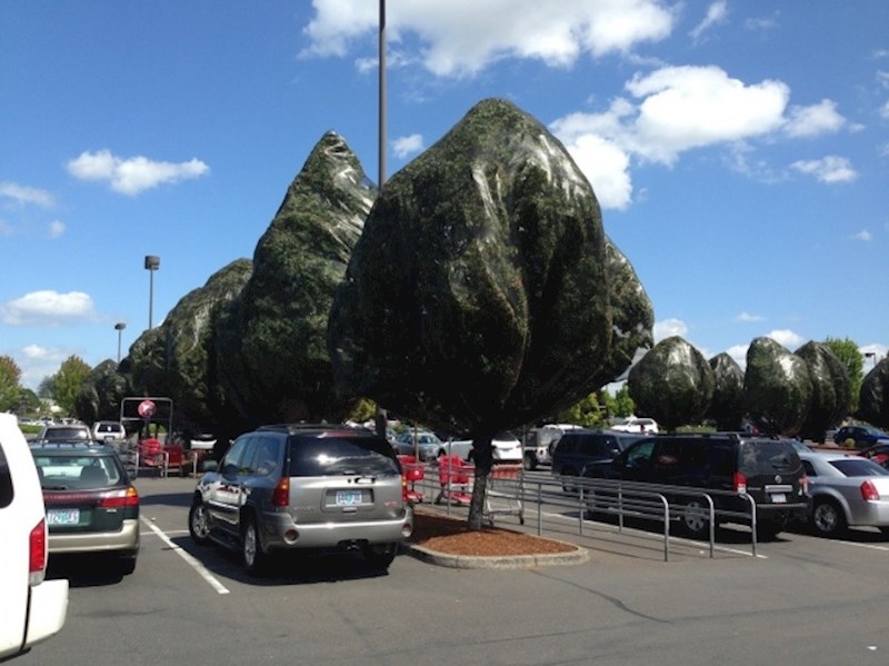 Kako uopće objasniti ova stabla?!