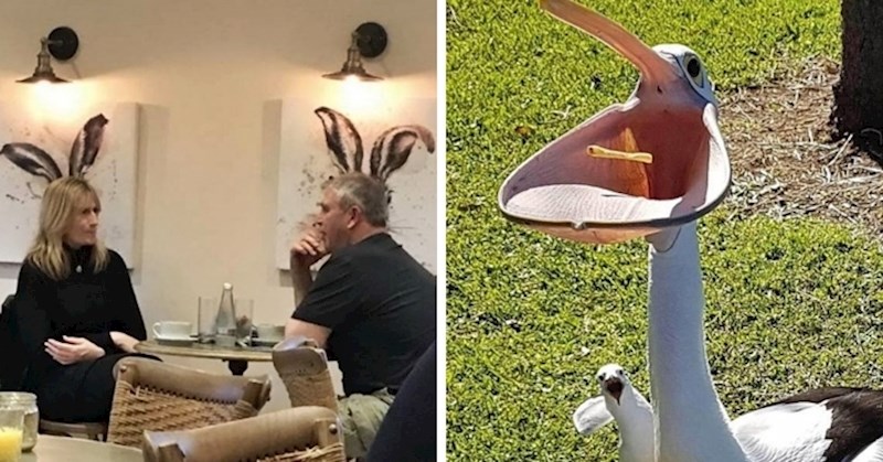 16 fotografija koje su zanimljive jer su slikane u savršenom trenutku