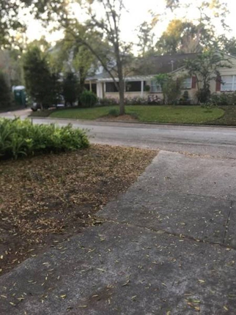 "U školi sam imala važan ispit o kojem mi je ovisio prolazak. Školski autobus se baš tog jutra nije ni pojavio."