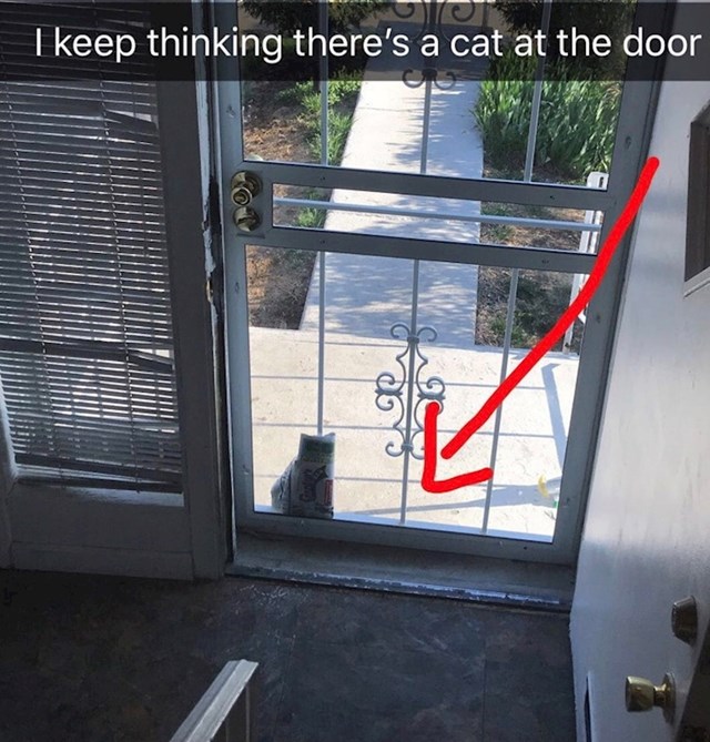 Jeste li i vi mislili da mačka čeka pred vratima?