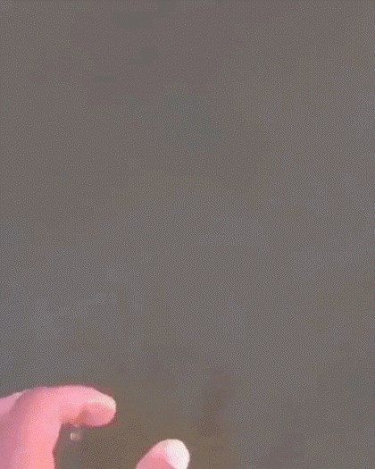 Ribolov i nije toliko težak kada imate dovoljno hrabrosti da učiniti ovako nešto