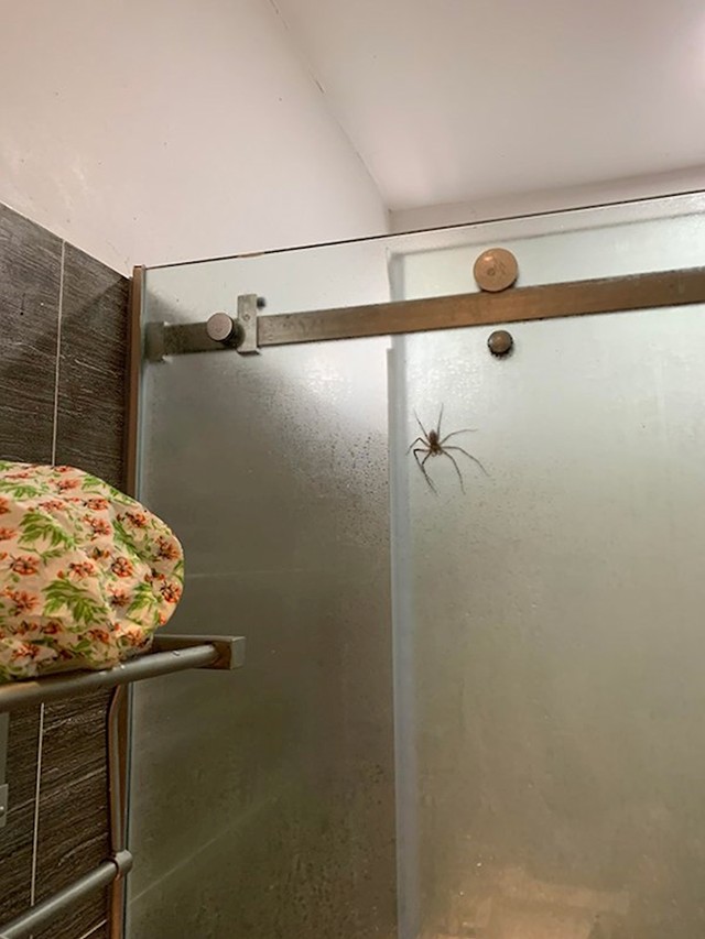 Izaći iz tuš kabine ili ne?