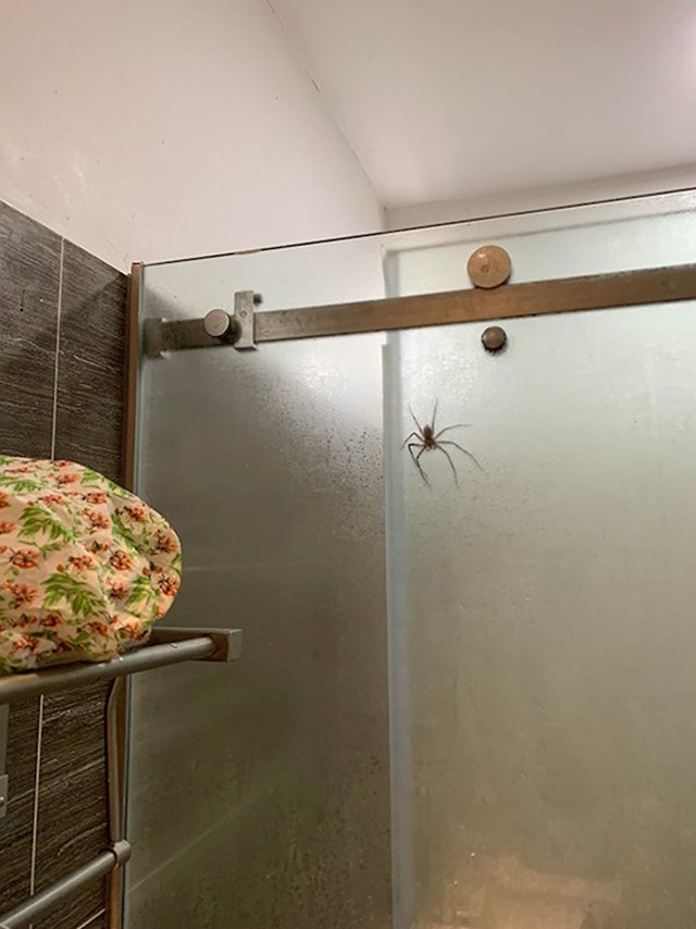 Izaći iz tuš kabine ili ne?