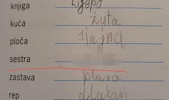 Dijete je svakoj riječi moralo dodati jedan pridjev, učiteljica nije očekivala ovakav odgovor