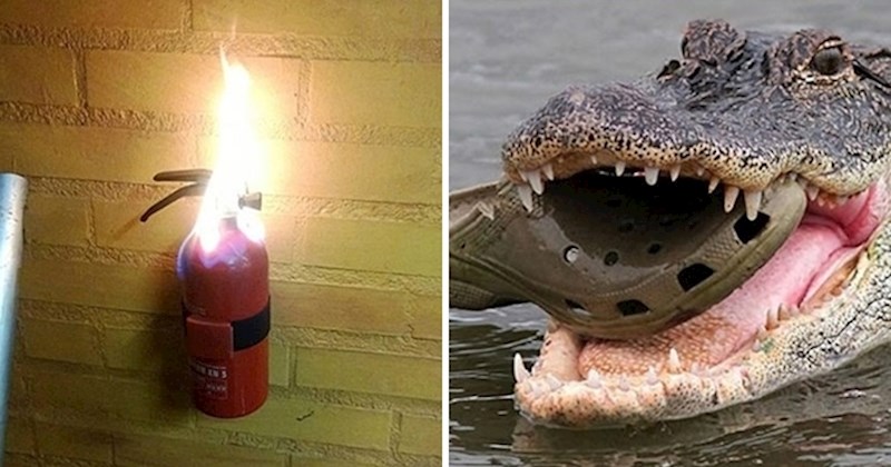 Nesvakidašnje fotografije u kojima će uživati svi oni koji vole ironiju i urnebesne promašaje