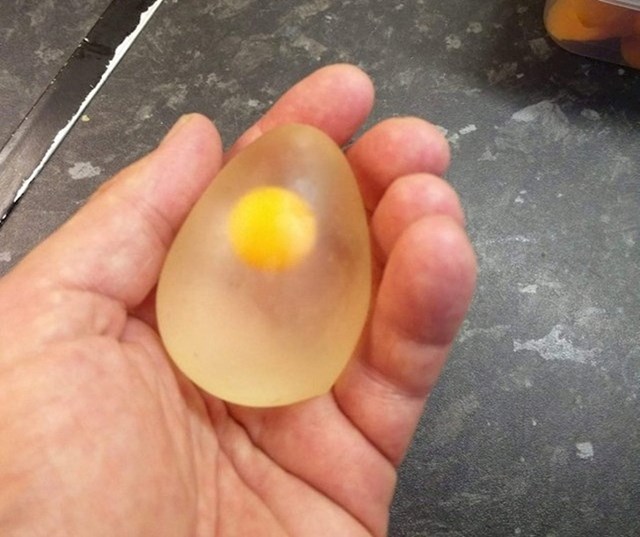 Oguljeno sirovo jaje