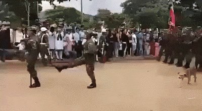 Pas se našao u centru zbivanja pa vojnu paradu odmah učinio zanimljivijom