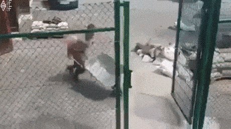 Građevinski radnici se znaju zabaviti na poslu, čak i kad ono što rade nije nimalo lako