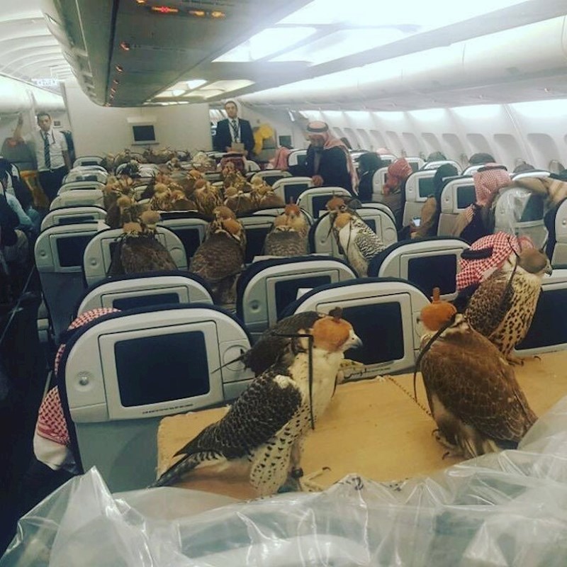 Izgleda kao običan putnički avion, no pogledajte tko su putnici...