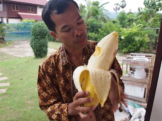Na Tajlandu raste oko 22 vrste banana, a neke od njih su stvarno ogromne...