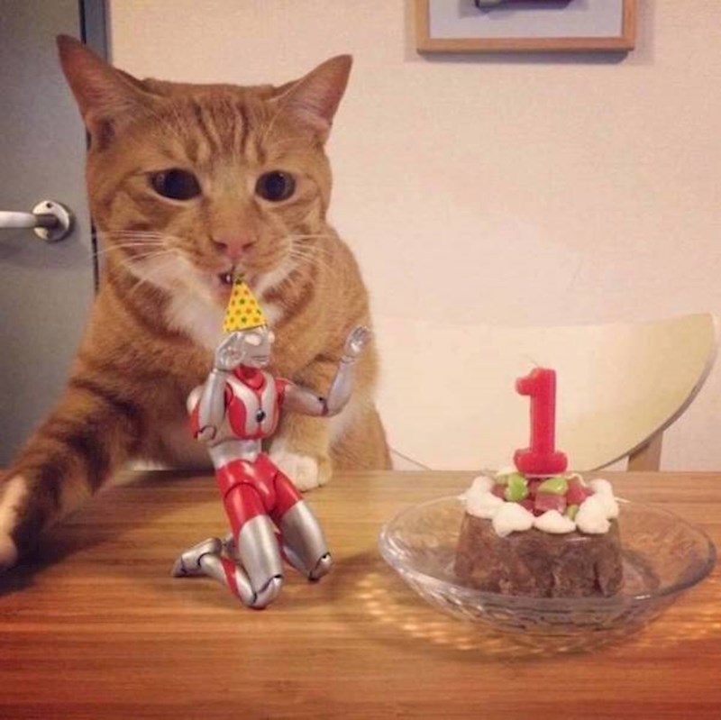 "Sretan ti rođendan!"