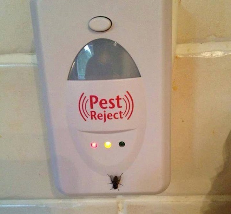 Evo što im se dogodilo: