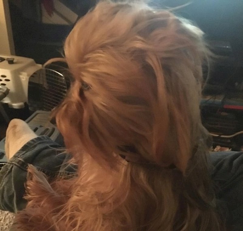 Ne, ovo nije Chewbacca iz "Ratova zvijezda". Ovo je pas.