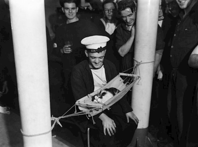 Mornari su napravili malu ležaljku za mačku koja je živjela s njima na brodu.
