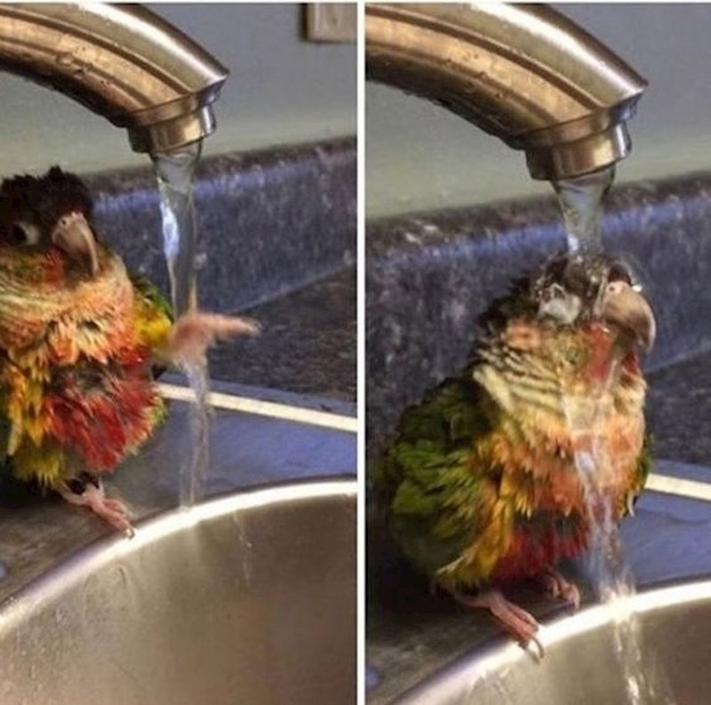 Prvo je morala provjeriti je li temperatura vode ok.