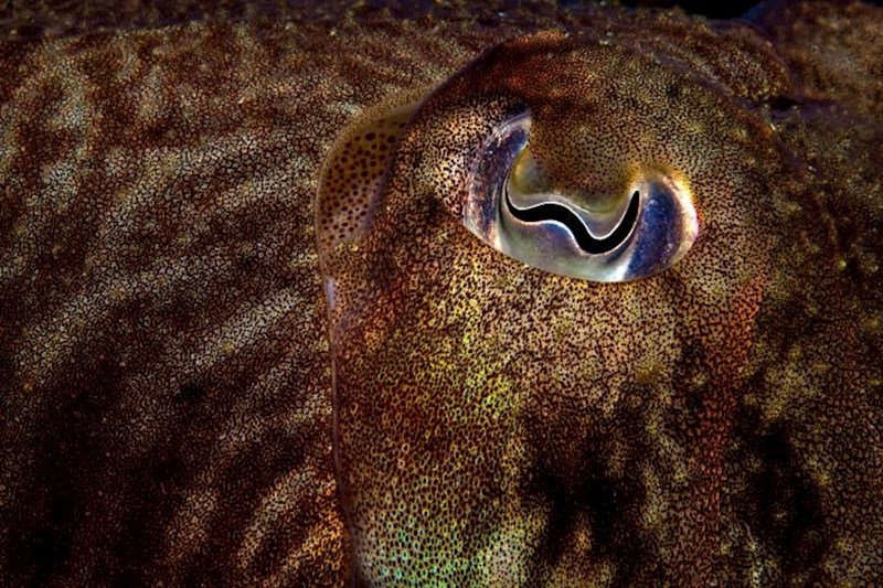 Michael Gallagher, 2013.