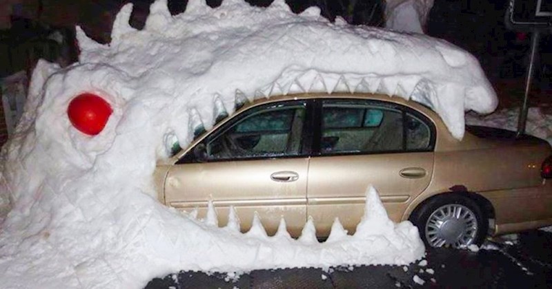 15 slučajeva u kojima je dosada rezultirala zanimljivim prizorima