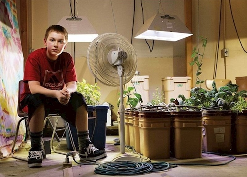 Nakon što su na desetom katu uhićeni ilegalni uzgajivači marihuane, policija je opremu za hidroponični uzgoj donirala školi u Whittieru. Korištena je za uzgoj povrća koji je nadgledao Joey Lipscomb tijekom osmog razreda.